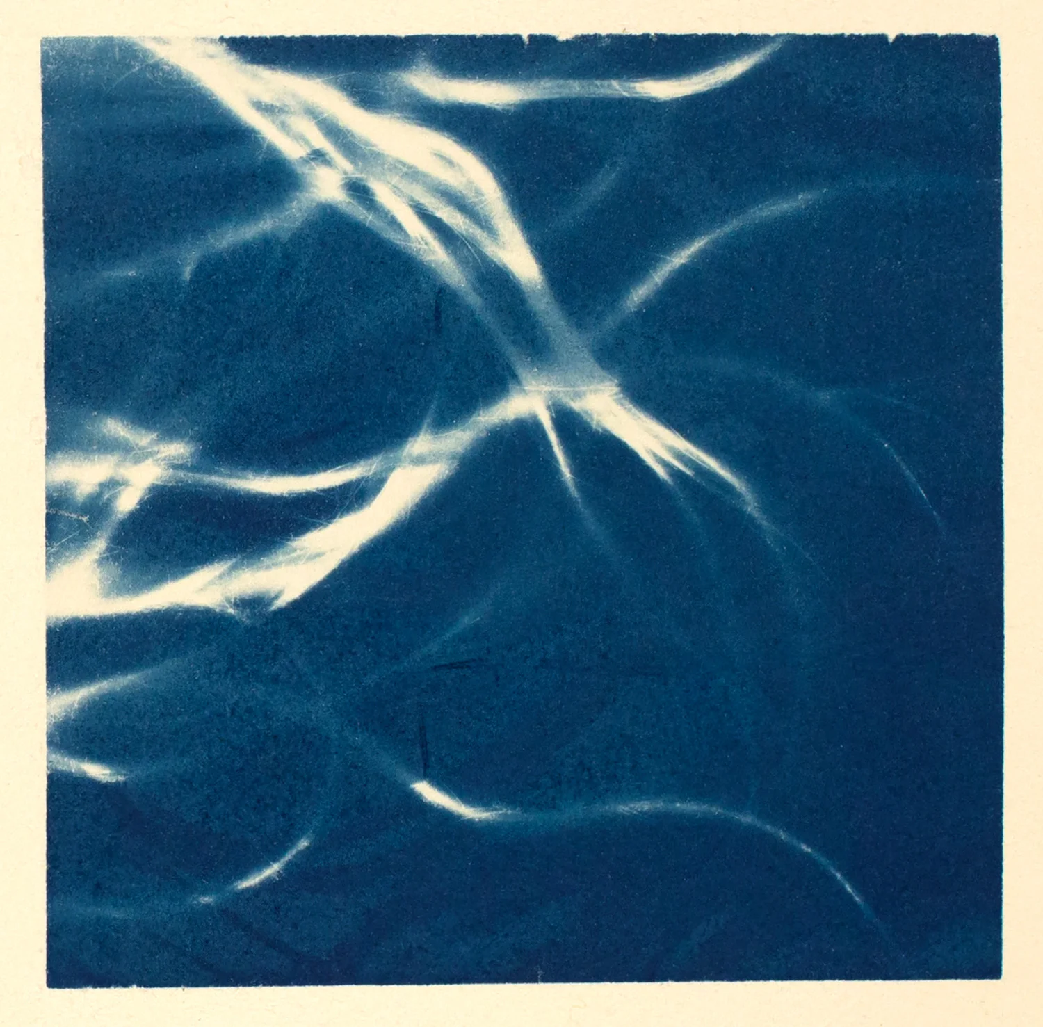 hair (study II), 2016, cyanotype, 32 x 24 cm