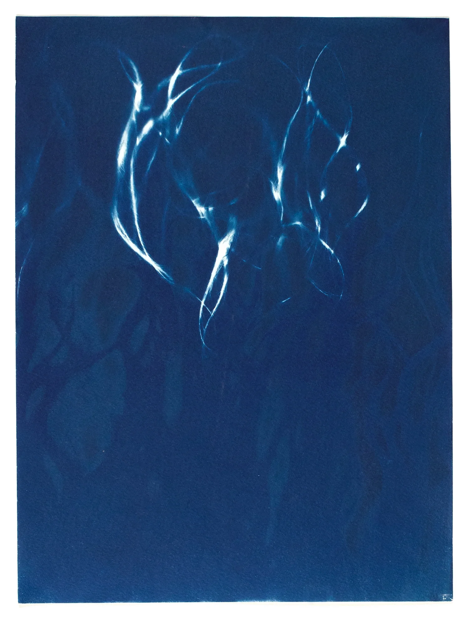 i am my hair , 2016, cyanotype, 32 x 24 cm
