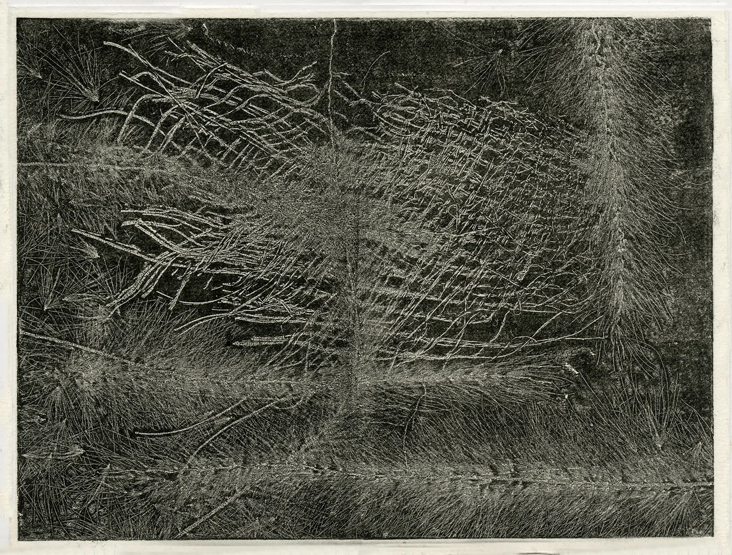 one plate studio test II, 2015, zinc etching on Hanhnemuhle, 15 x 20 cm
