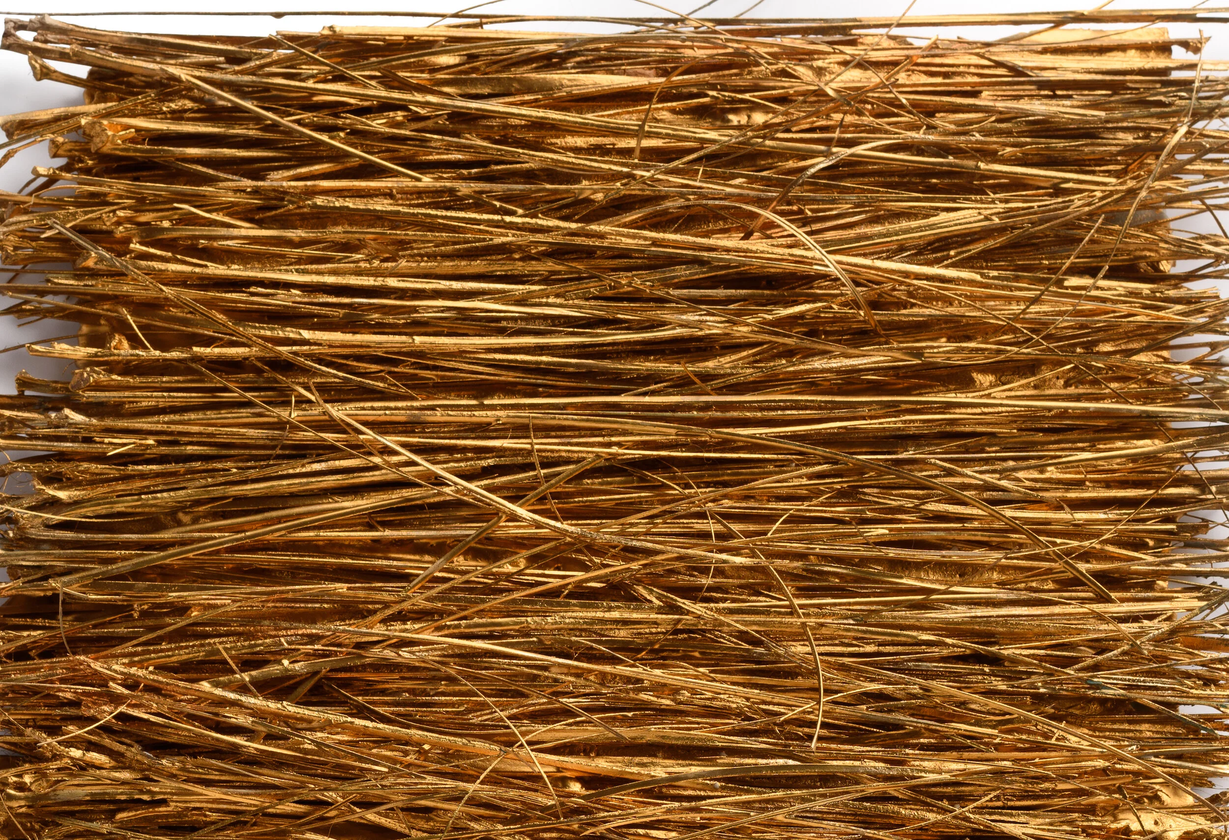 Kain_Corpus_photoLuisPower-18 copy.jpg