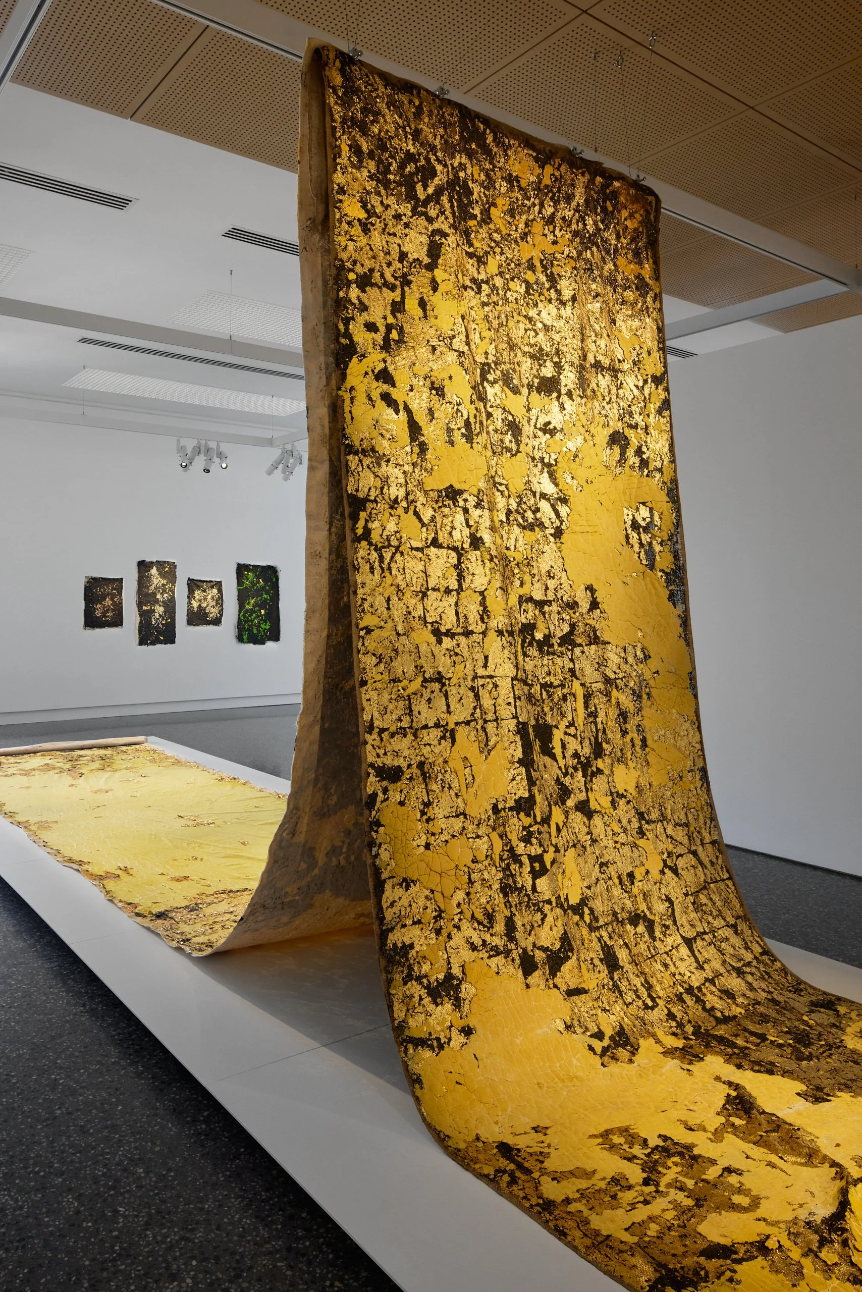 nginha, Murray Art Museum Albury 2026