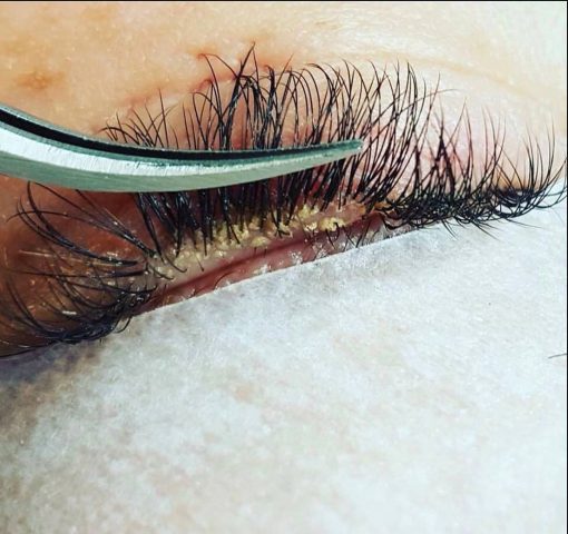 How to Detangle Eyelash Extensions
