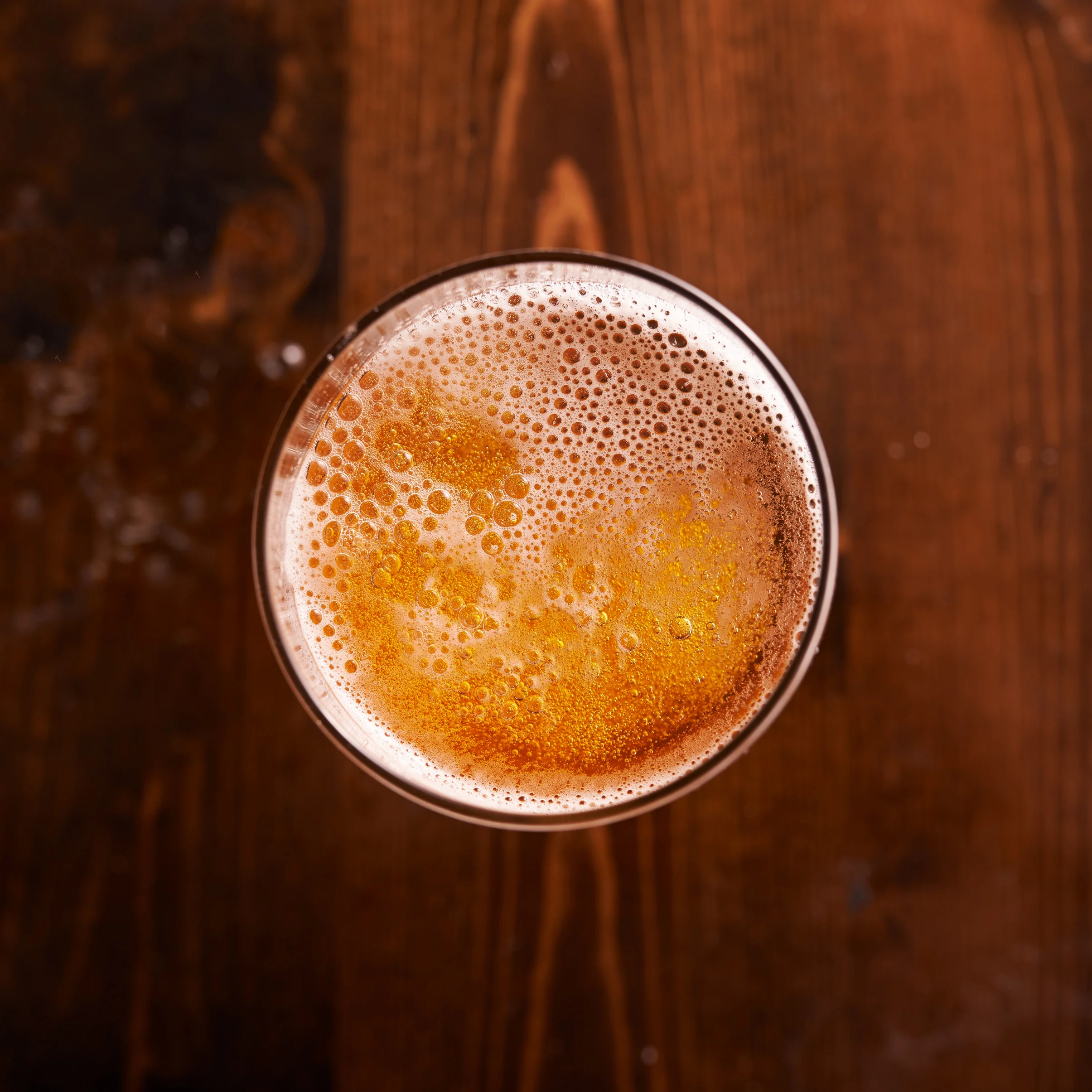 beer_web.jpg