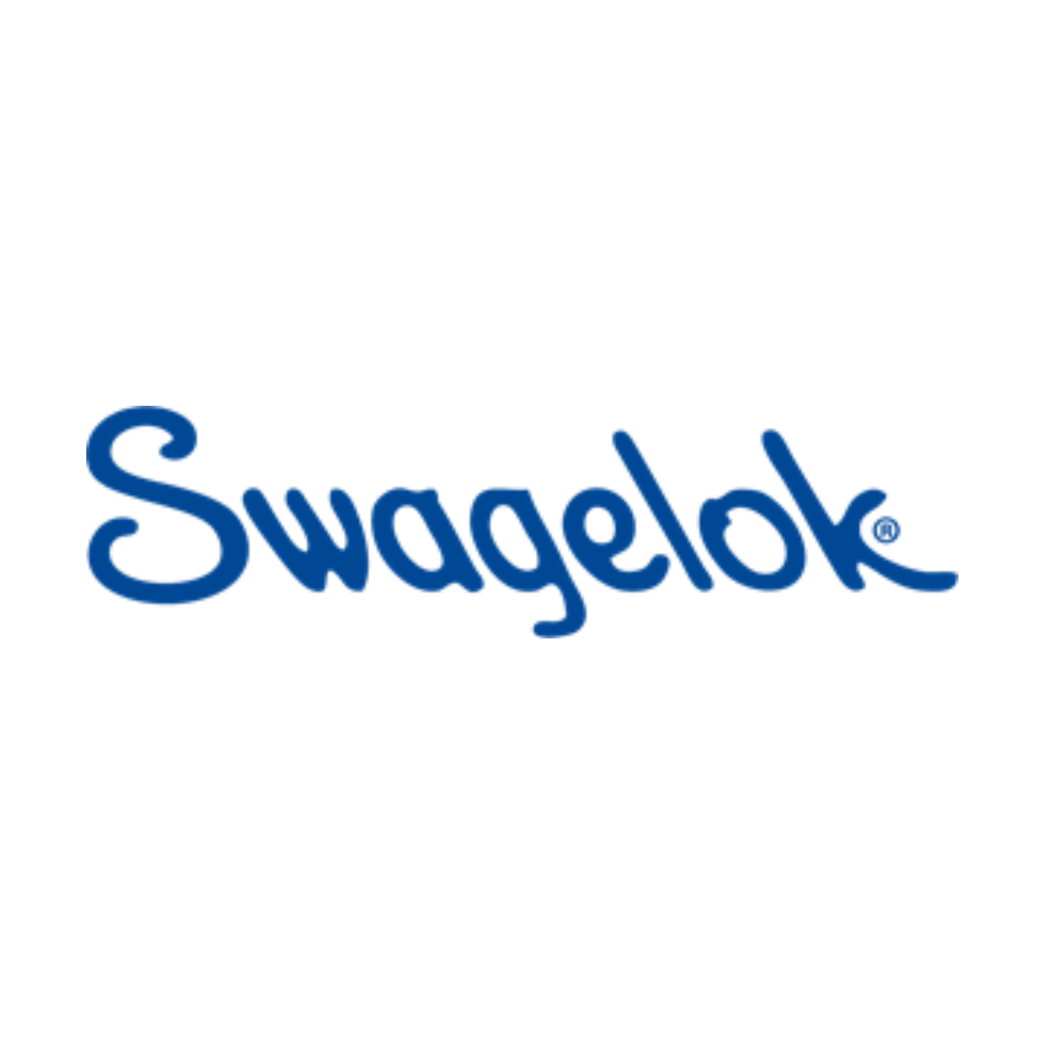 SWAGELOK FOR WEBSITE.png