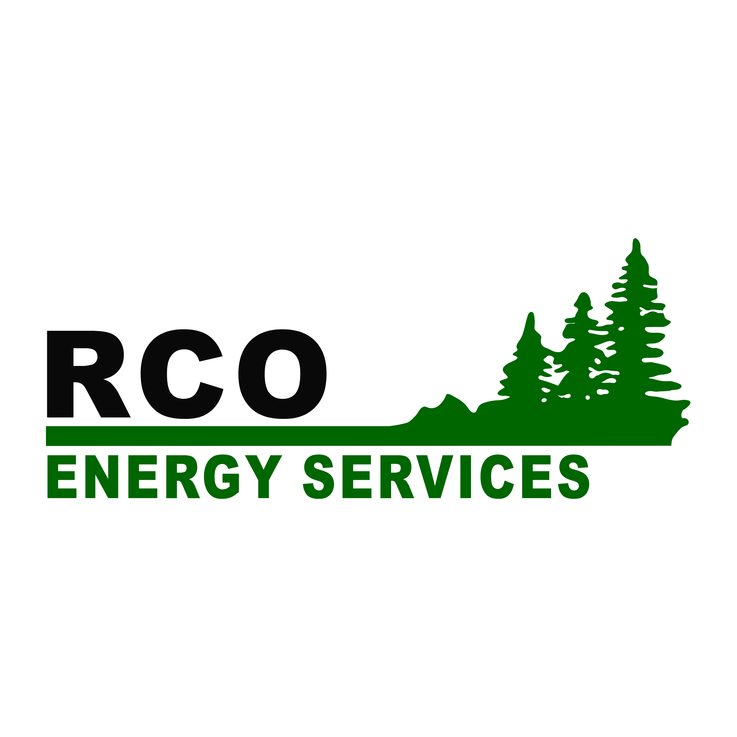 RCO FOR WEBSITE .png