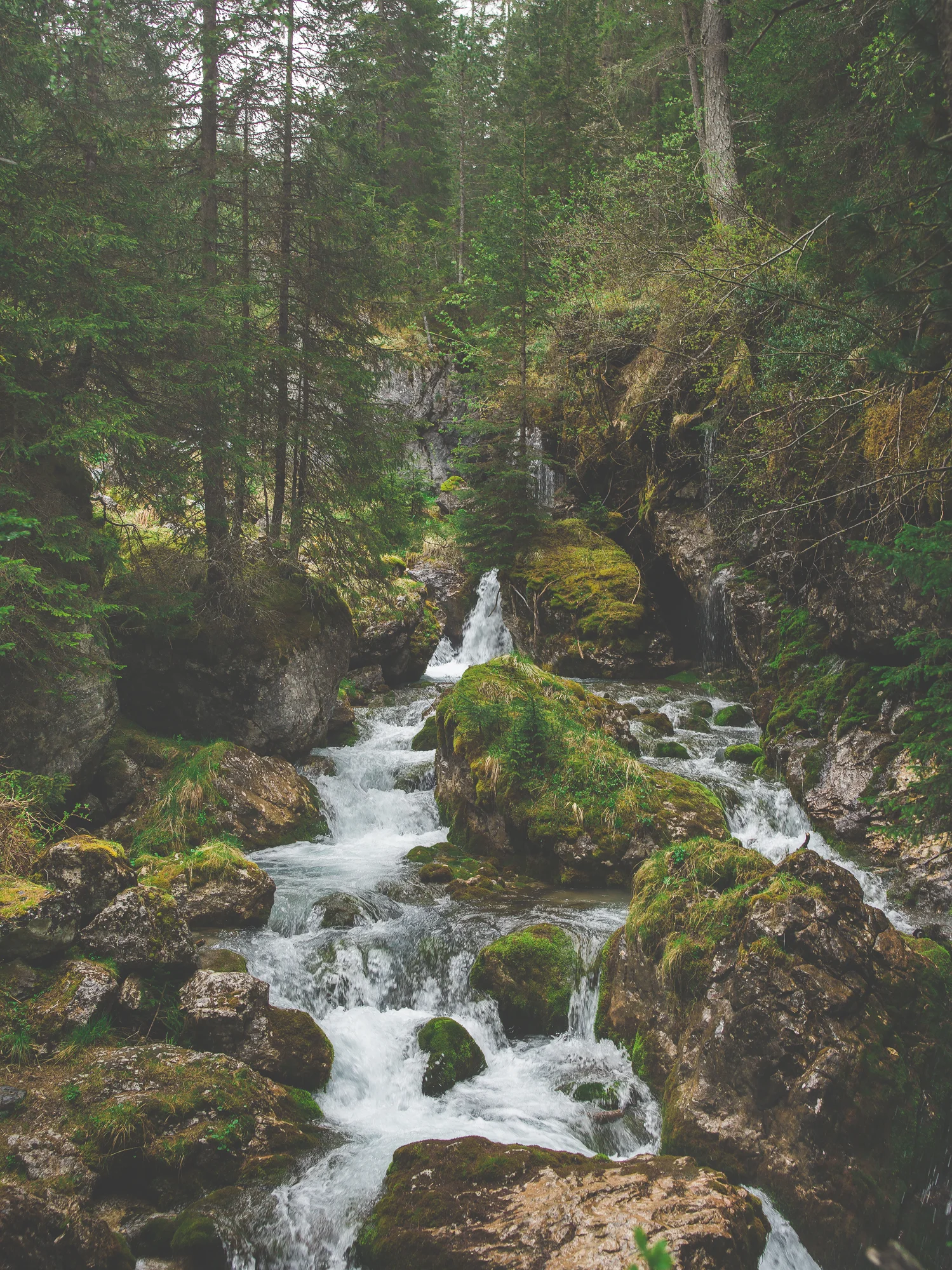 GruppettoPreview_DaveLandscape_0011.jpg