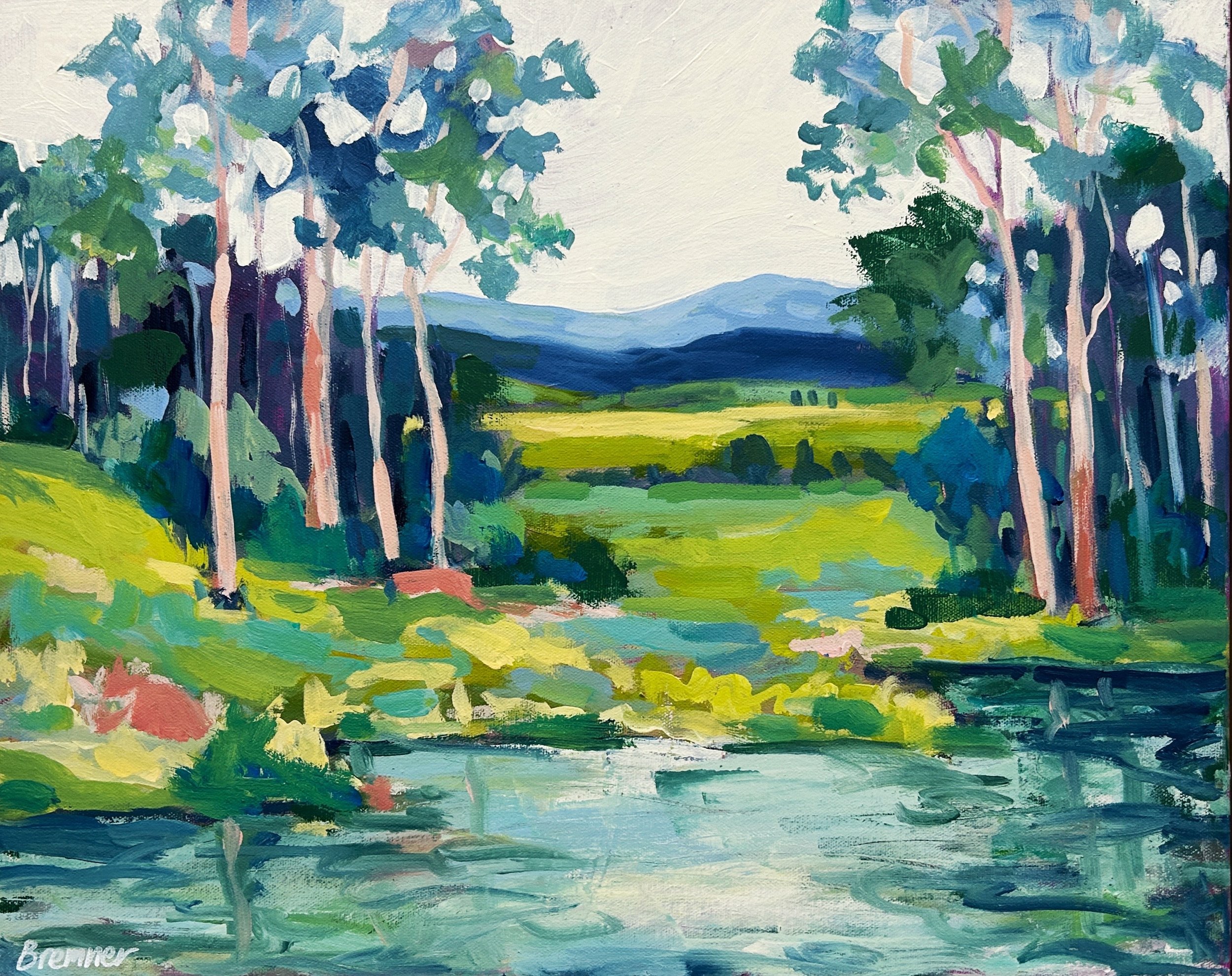 View from the swimming spot