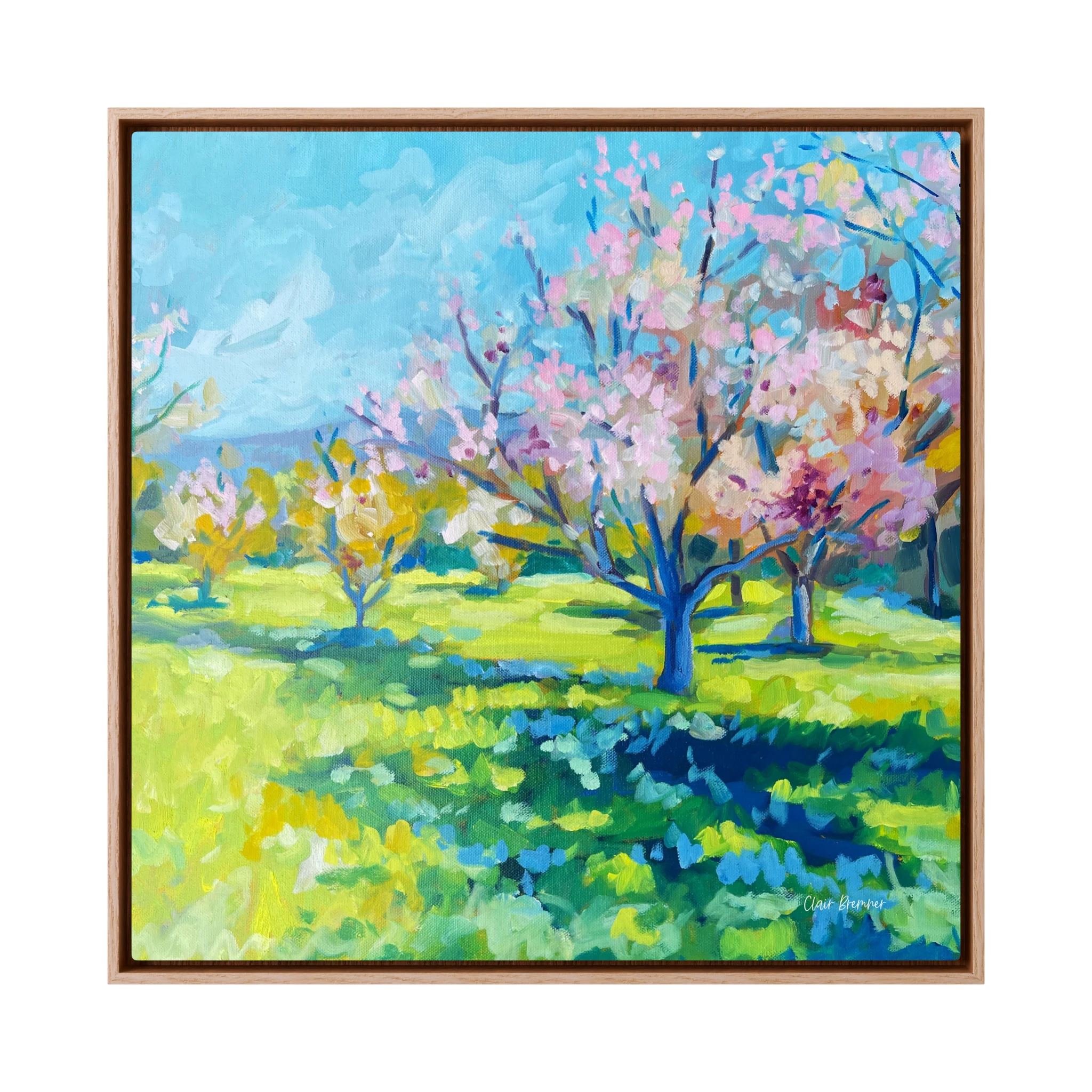 Apple Blossom Framed Canvas Print