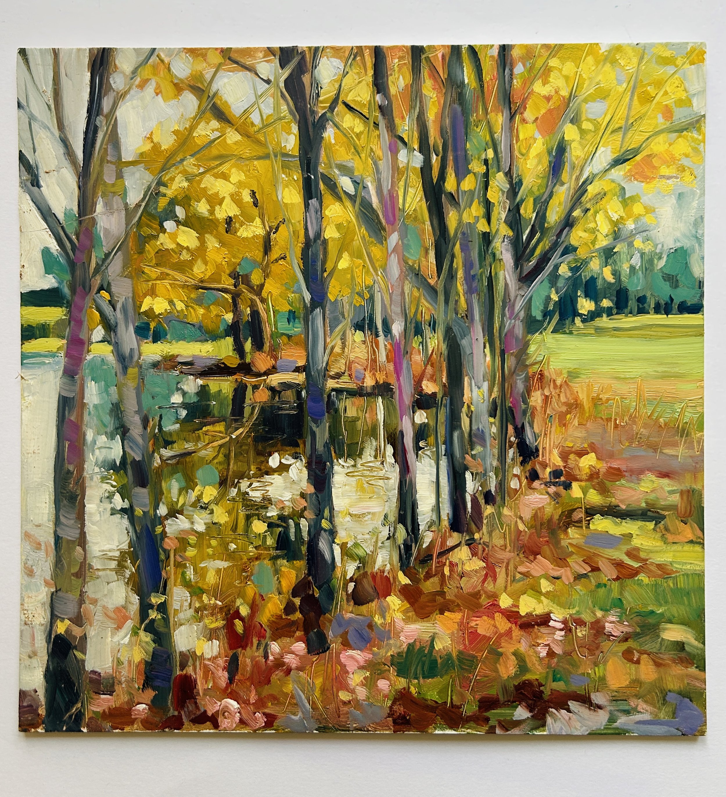 Pond Study
