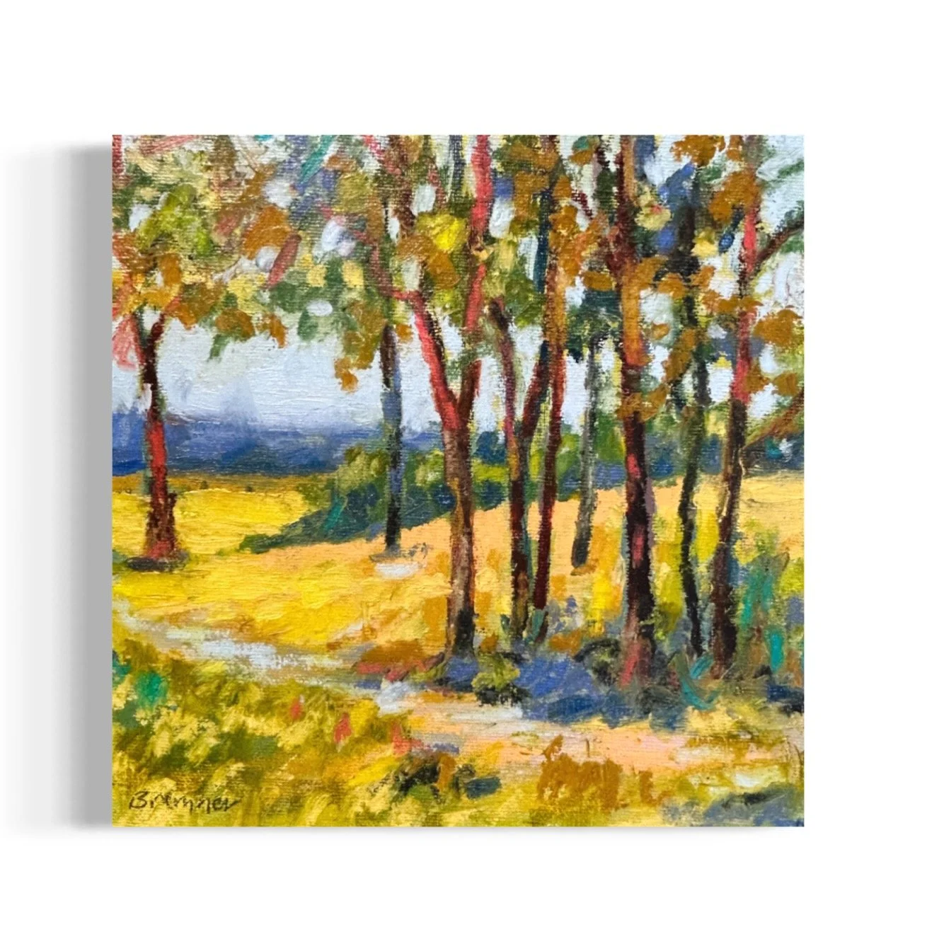 Light on the Hillside