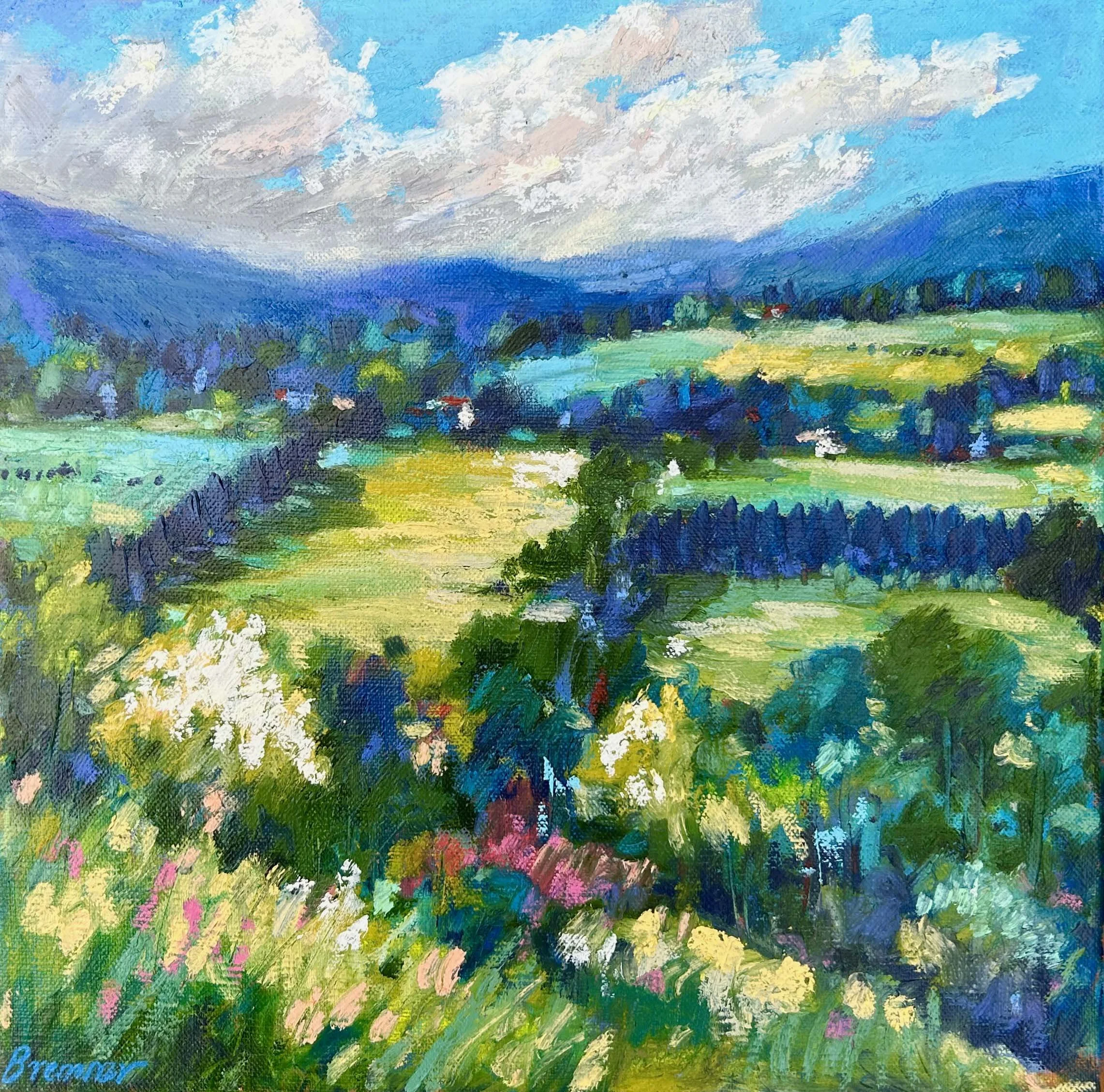 looking down from the hill.jpg