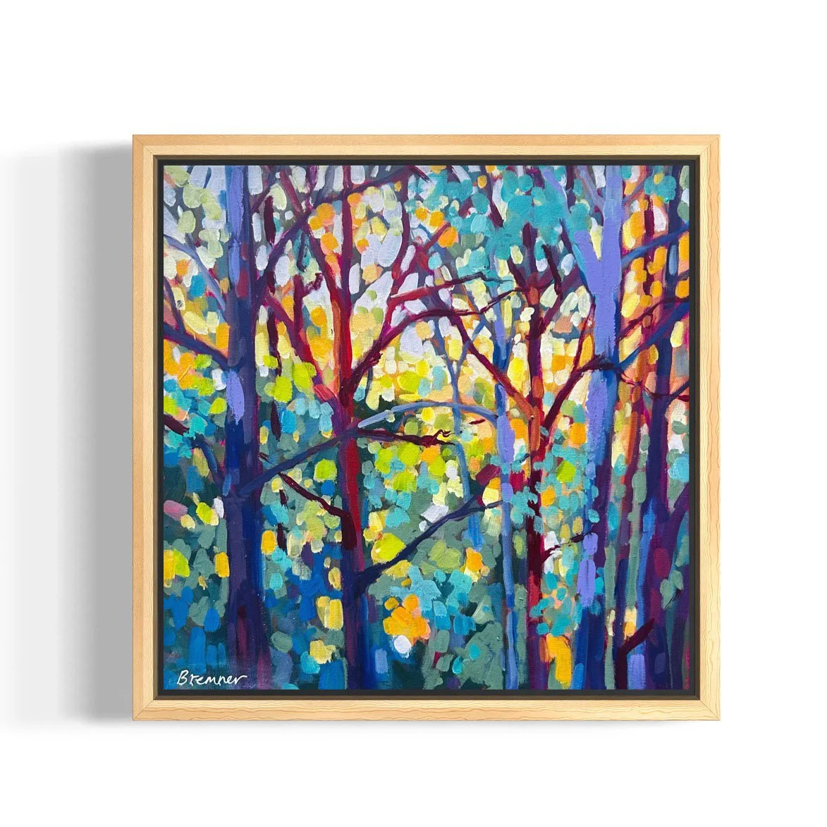 filtered light 2 sml.jpg