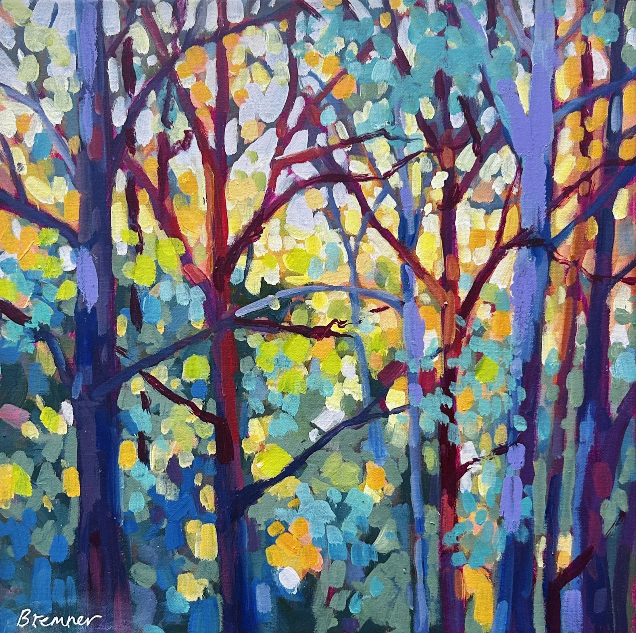 filtered light 2.jpg