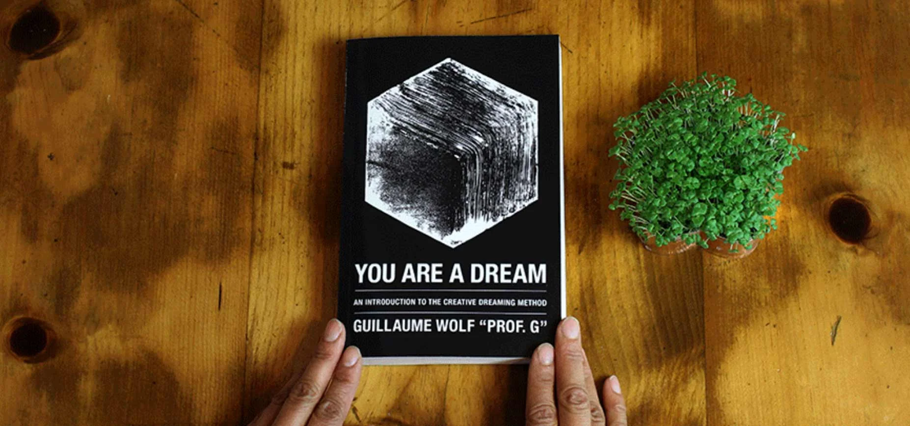 You_Are_A_Dream_Prof_G.jpg