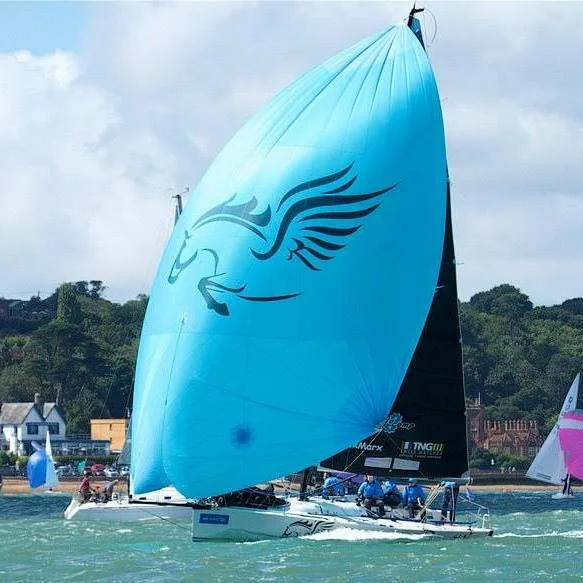 Farr30_Pegasus.jpg