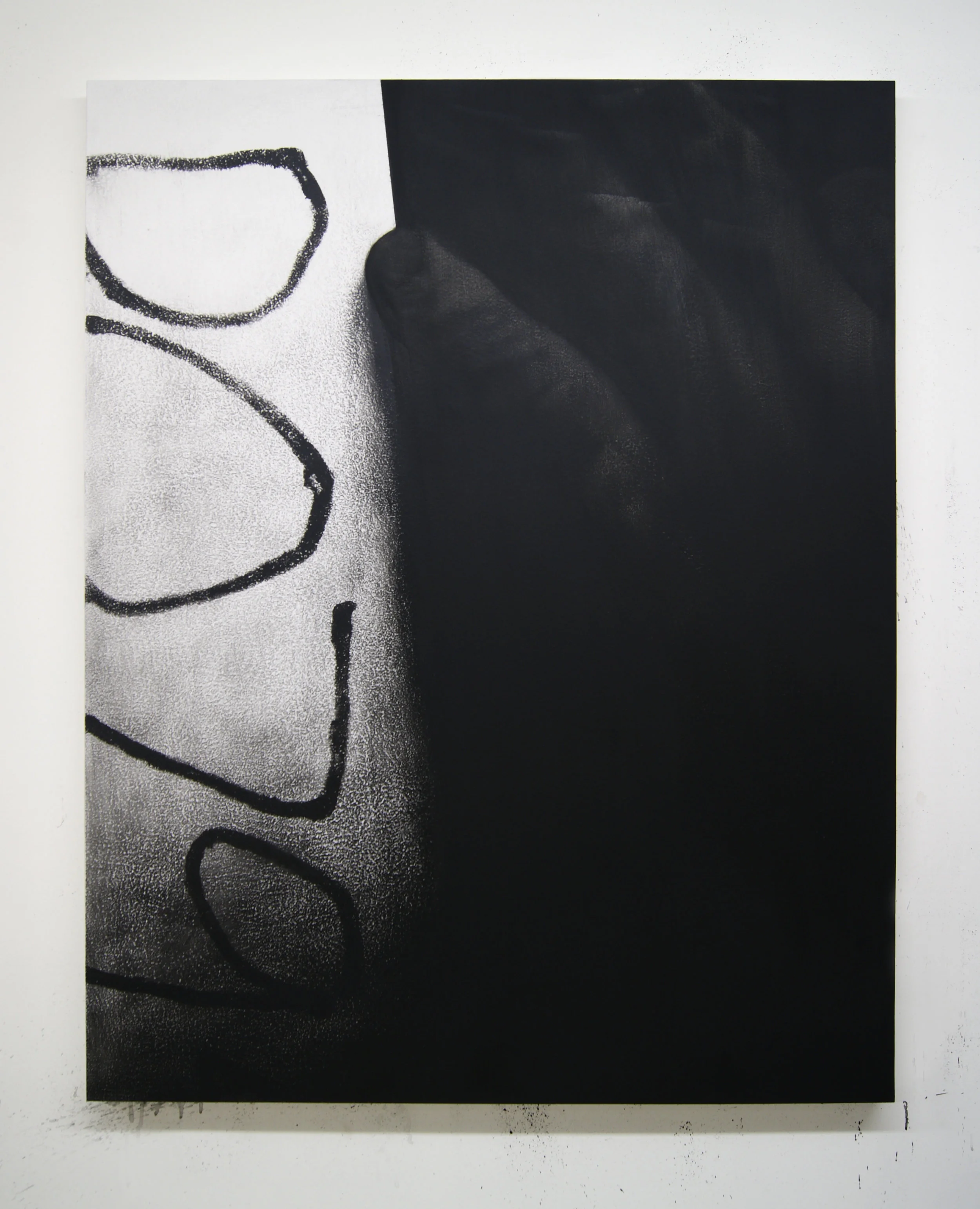 D0794, 2016 Acrylic on panel, 56 x 44 inches