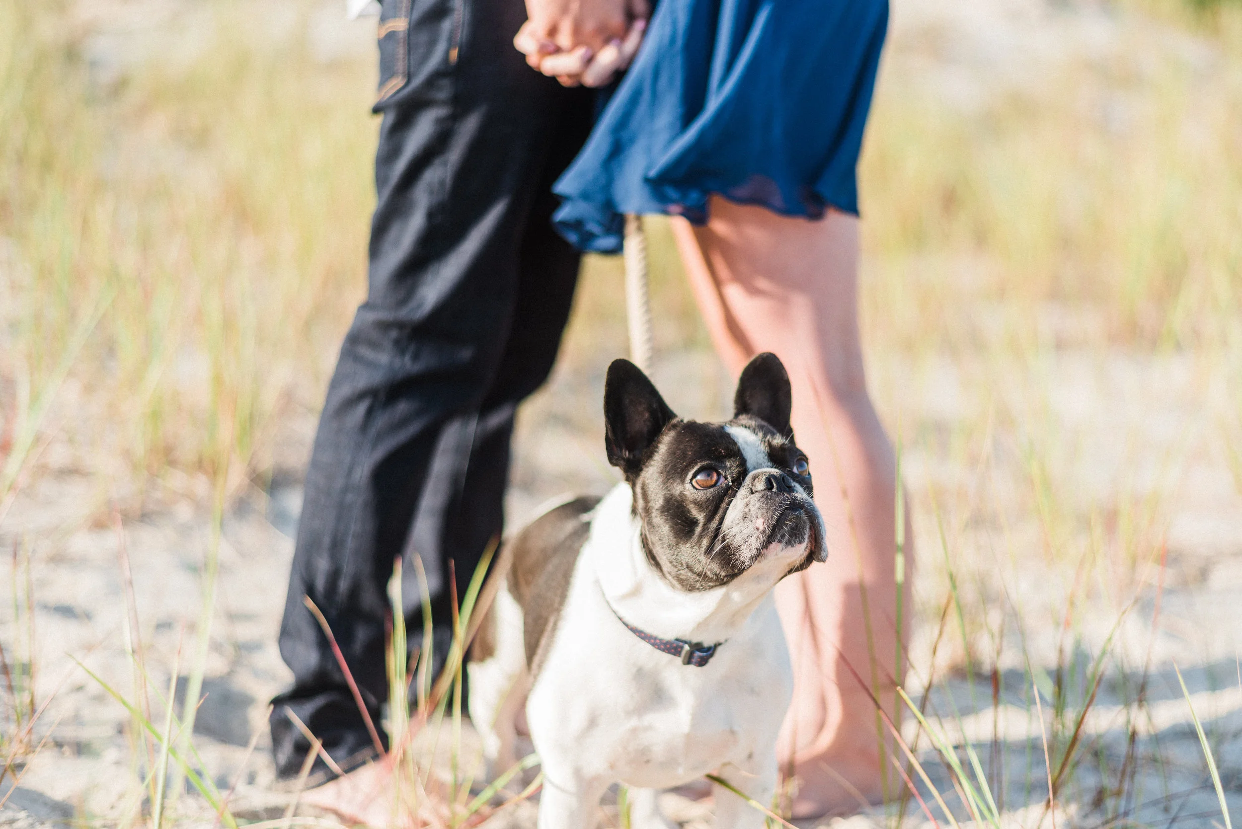 Laura_Phil_engagement-12.jpg