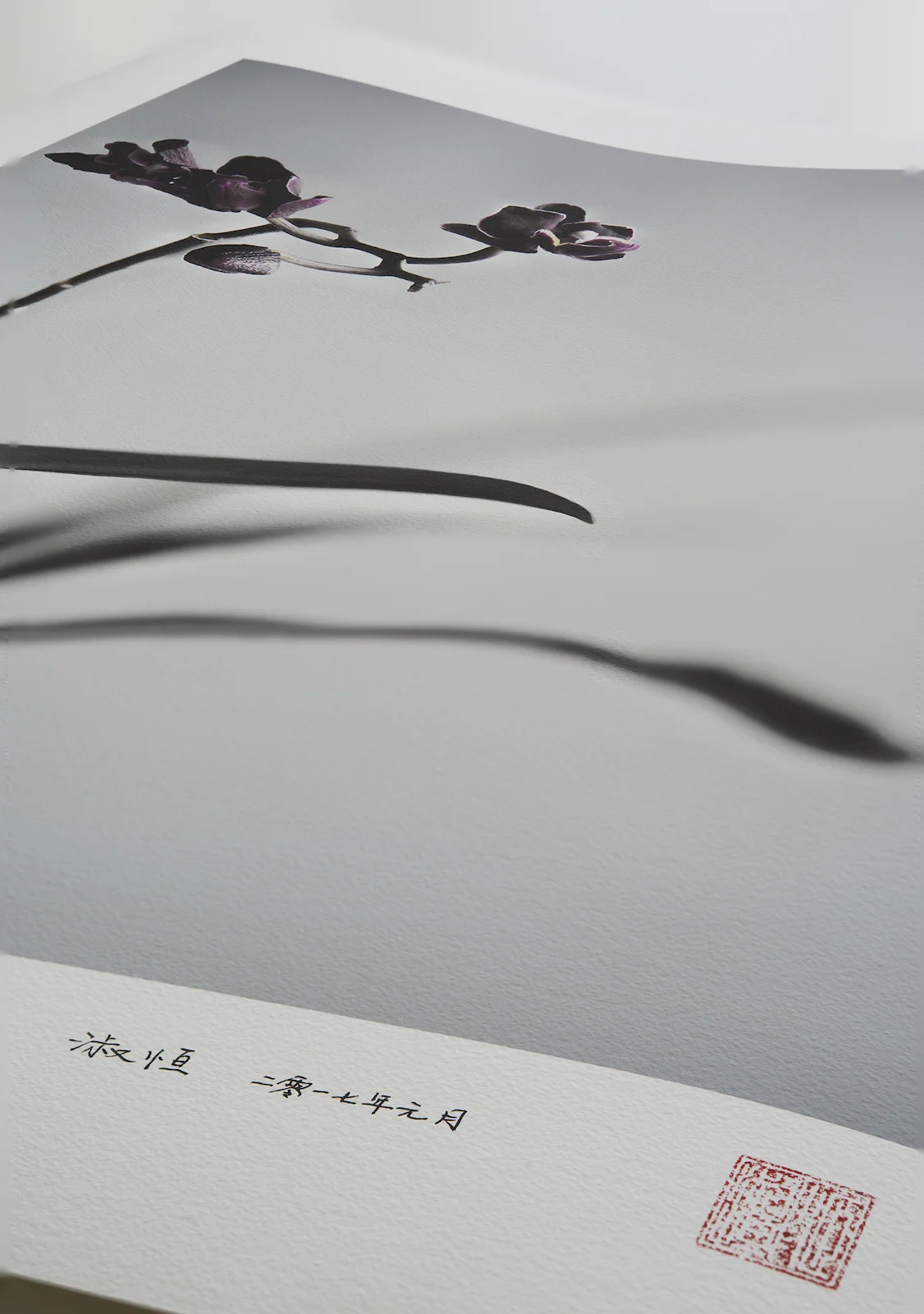shop_orchid_detail.jpg