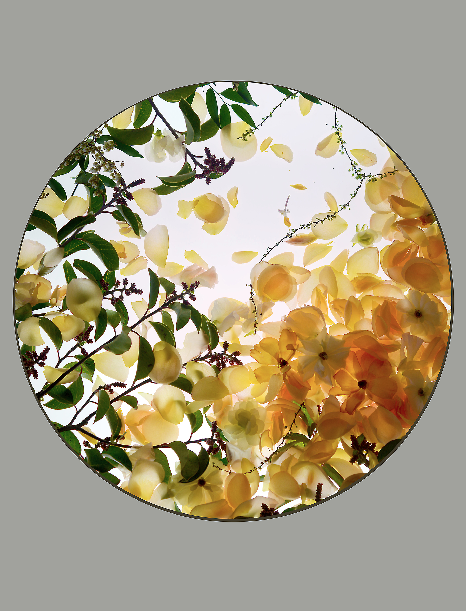 Project_2_Frame_4_Print_Large_resized.jpg