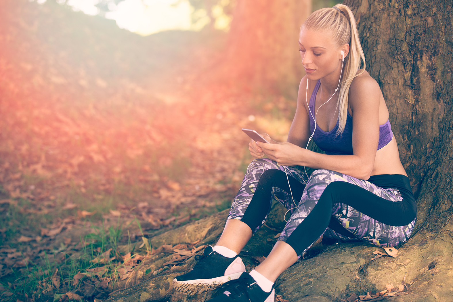AdobeStock_126046904.jpeg