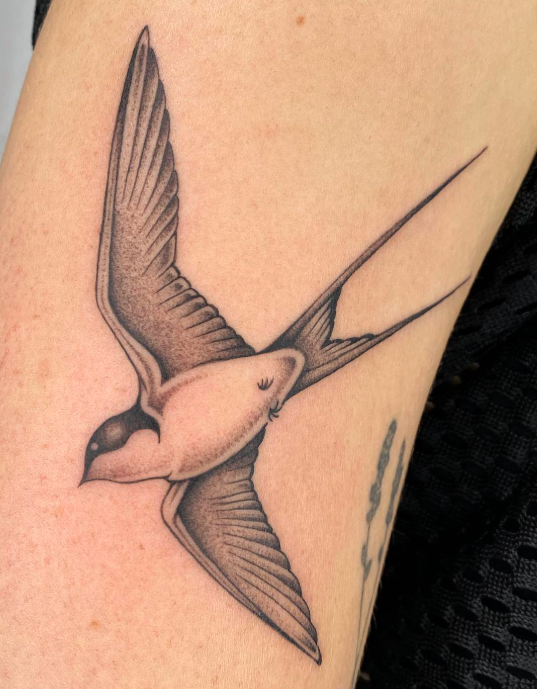 Screen Shot 2026-01-02 at 2.59.50 PM.png