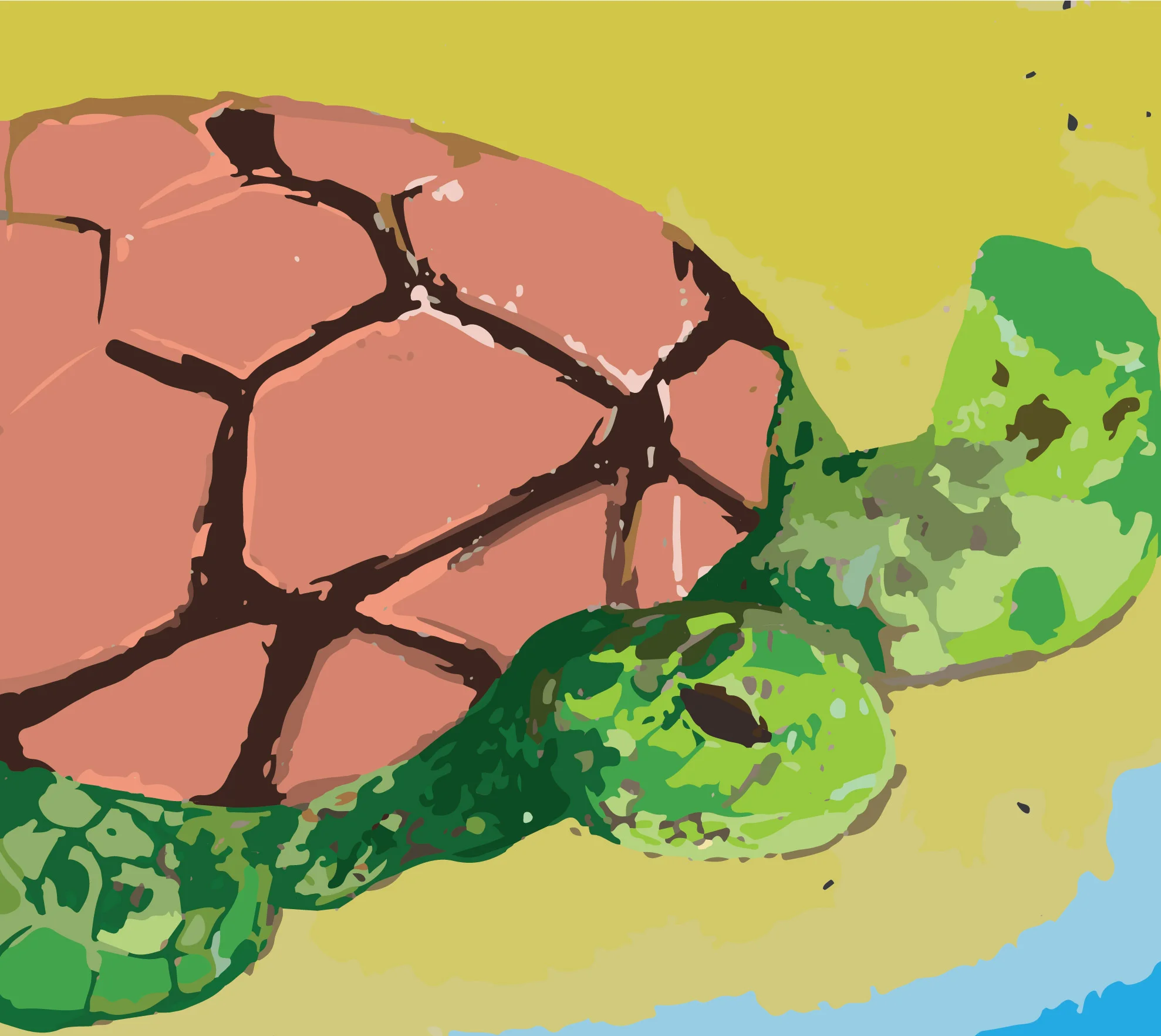 Turle at sea-01.jpg