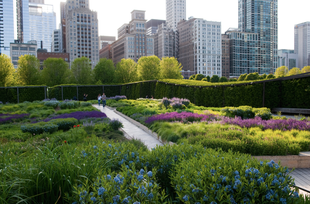 AROUND TOWN: Where to Stay, Eat and Explore in Chicago This Spring
