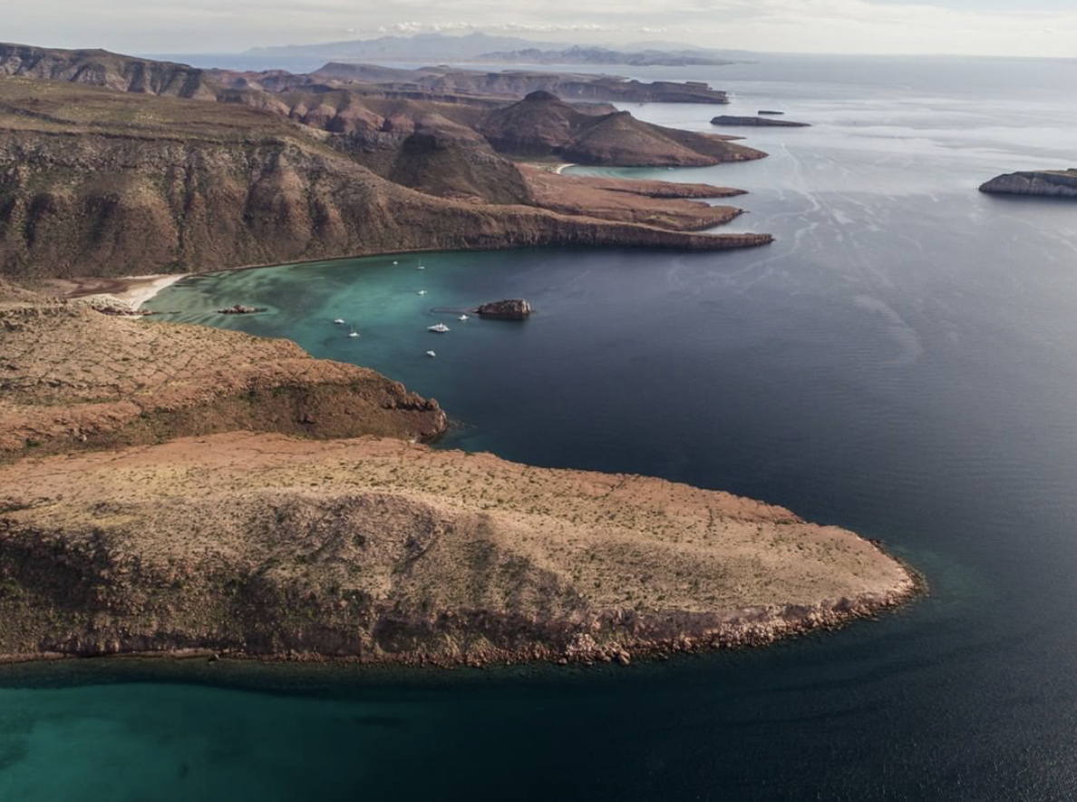 ZAP WANDERLUST: Spring Break