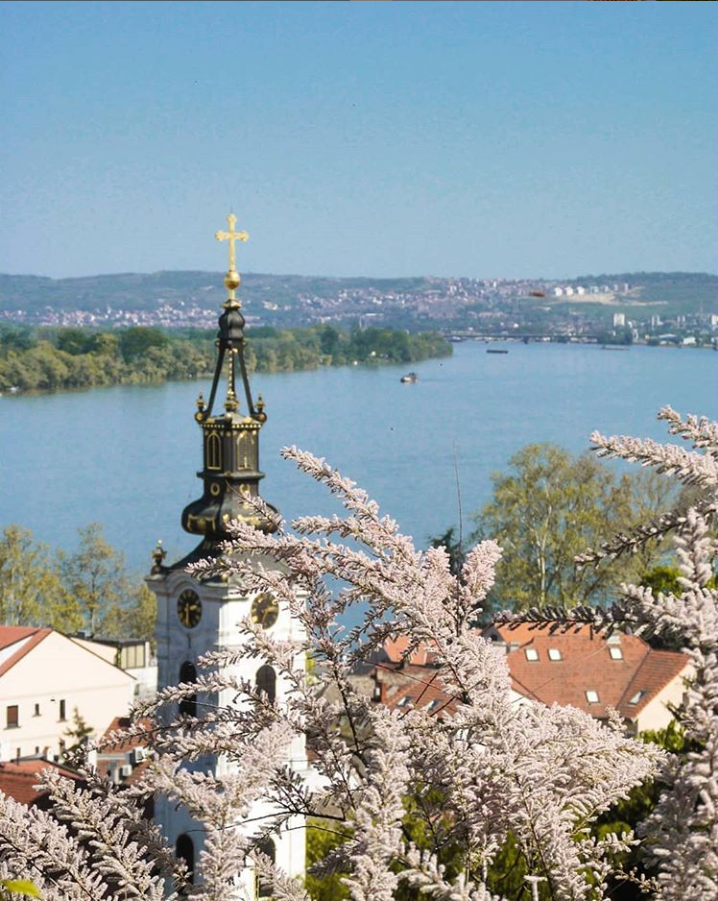 ZAP WANDERLUST: A Serbian Summer