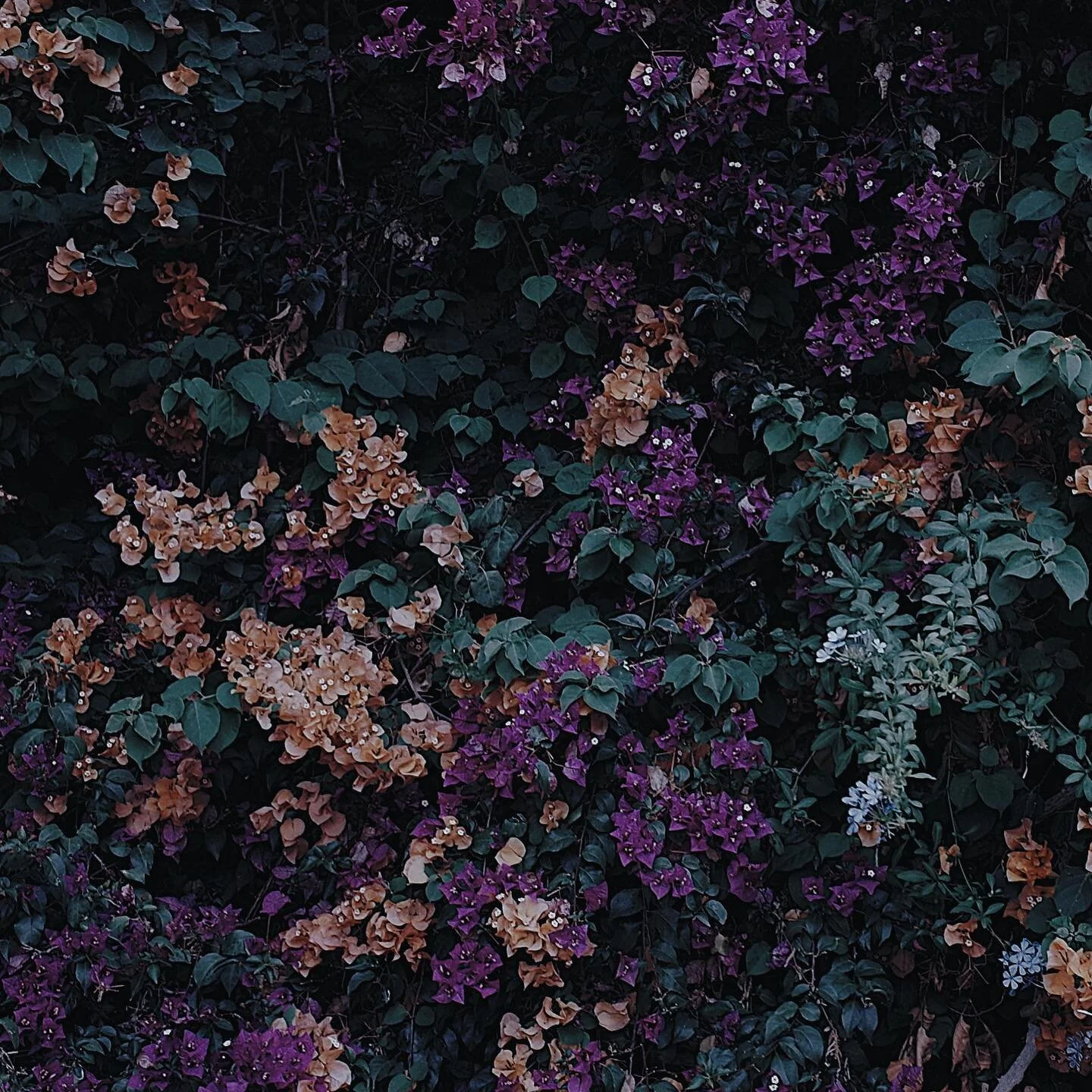 If nostalgia had colors... #richogr #vsco #travelphotography