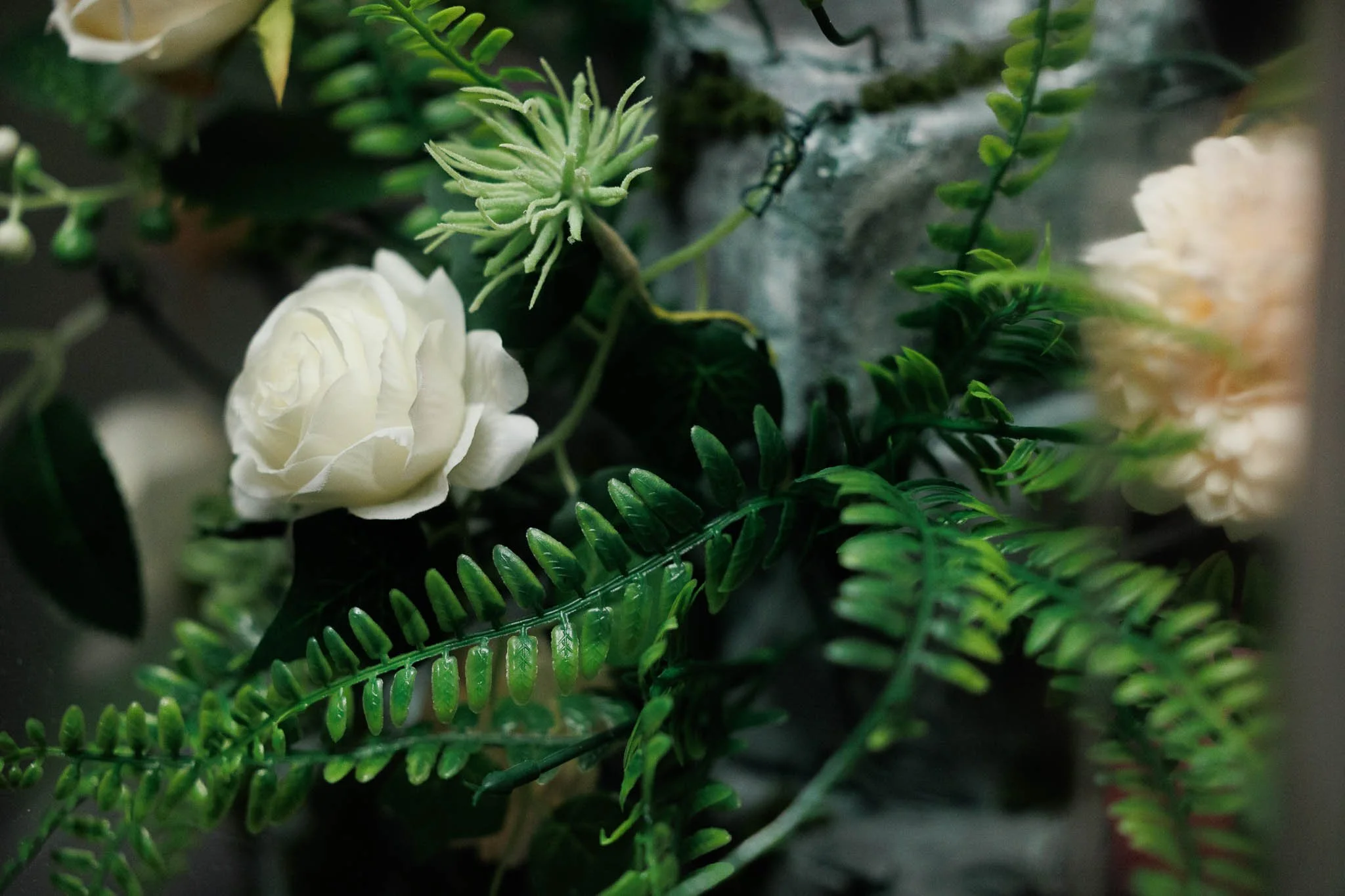 NuwainFairyland_1012_DIGITALUSEDONOTPRINT.JPG