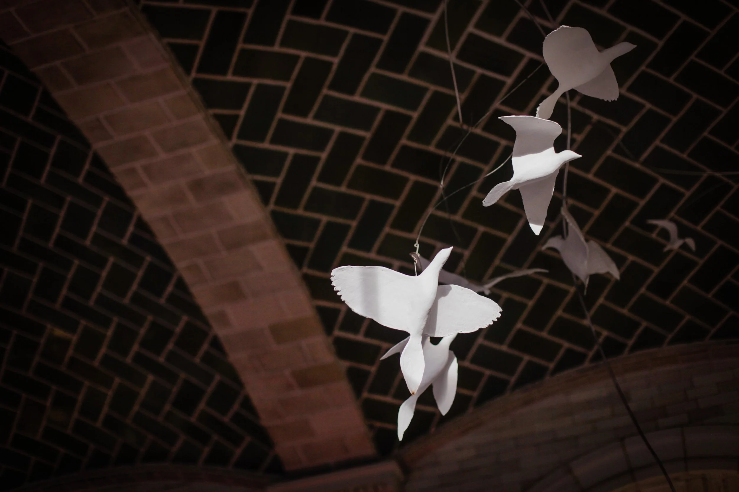 Meg&Jason_web edit 18.JPG