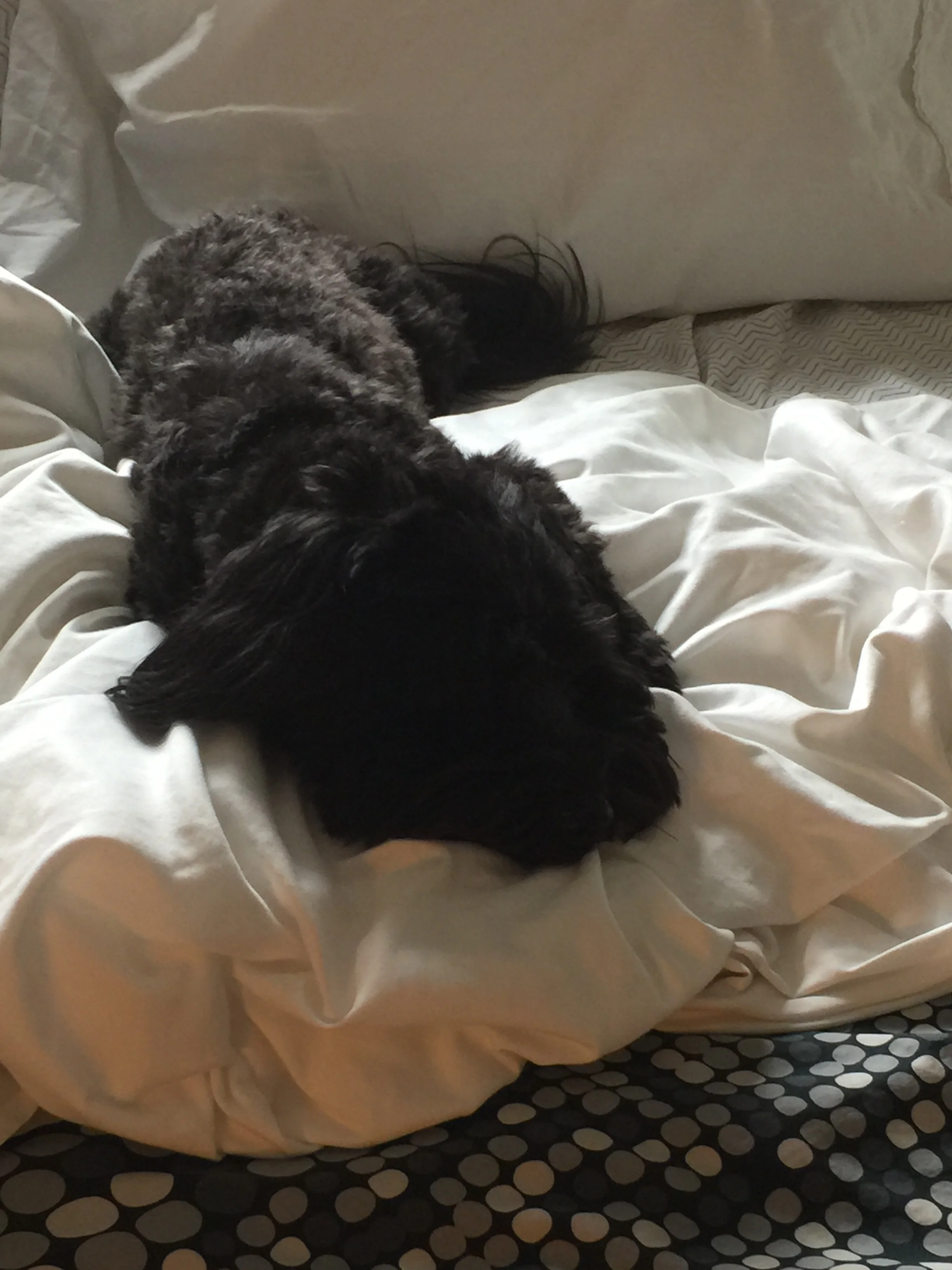 All clean, now--almost