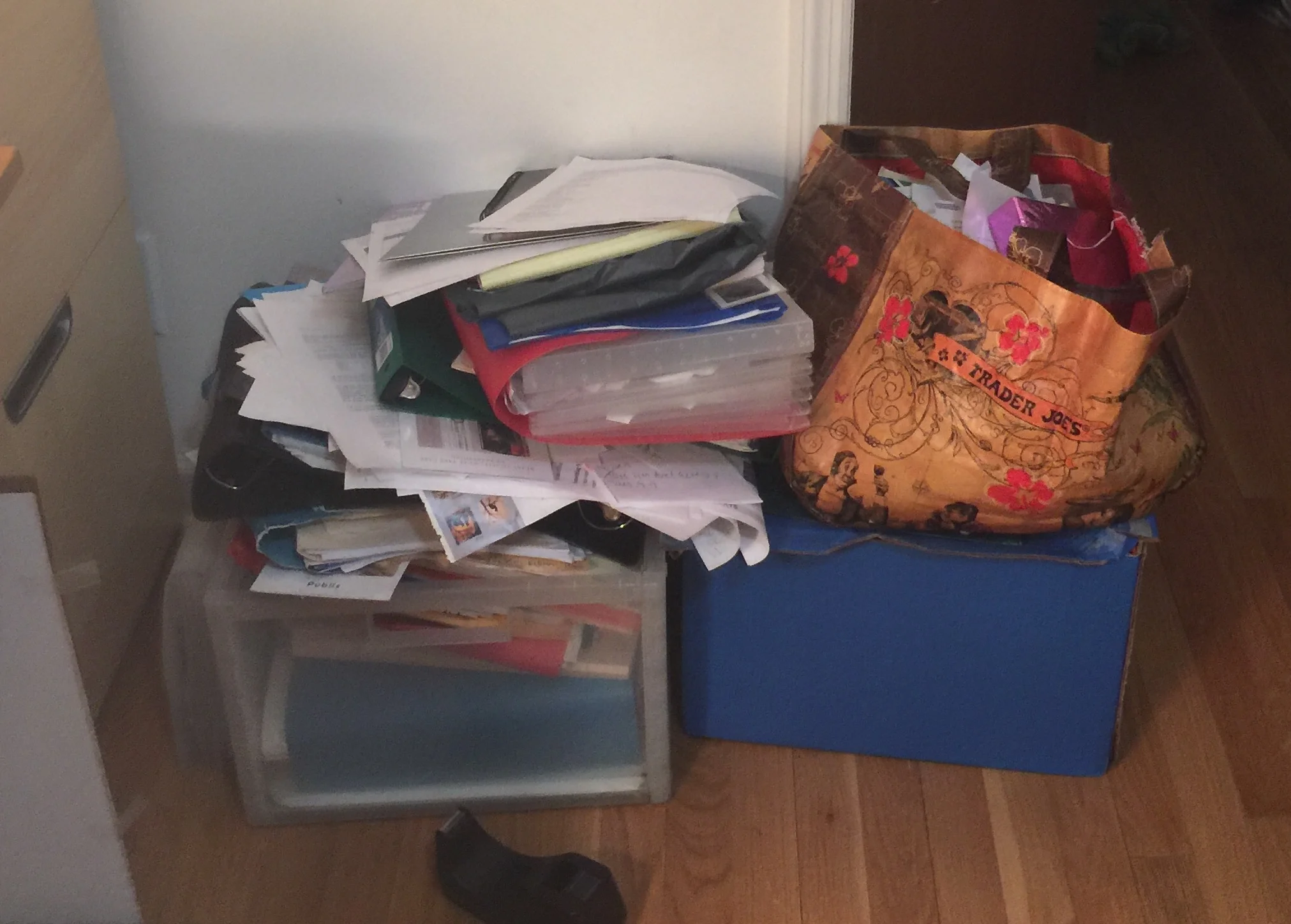 Some of the papers and file boxes. Eew!