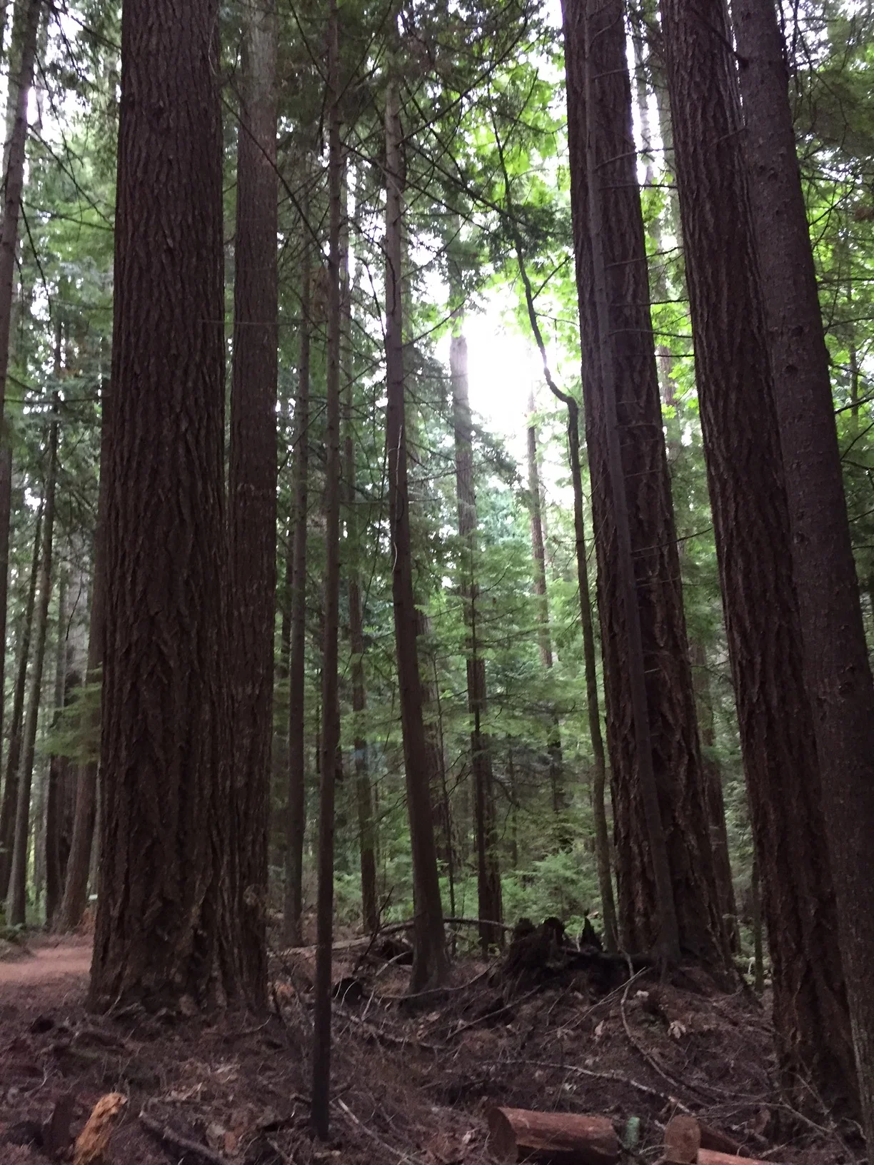 Business Consulting & Strategy