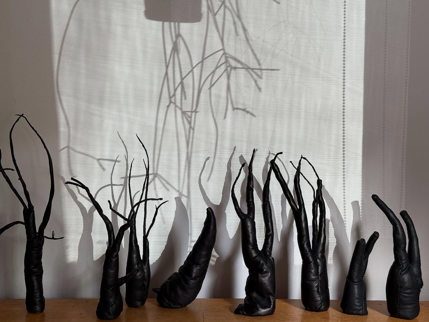 shadows growing&hellip; 

TALITHA KENNEDY
Shadows Grown
Opening: Saturday 05 July, 4 to 6 pm
@stockroomkyneton