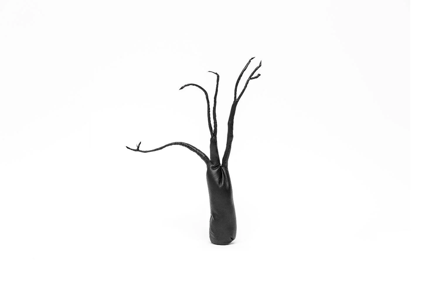 one branch just reaches out that bit further 

Talitha Kennedy
Shadows Grown - Reach
2025
Leather, thread, polyester fibre, wire, lead 
36 x 20 x 8 cm (dimensions variable)

@darrentannytan 

Talitha Kennedy
Shadows Grown
Saturday 05 July 2025 until 