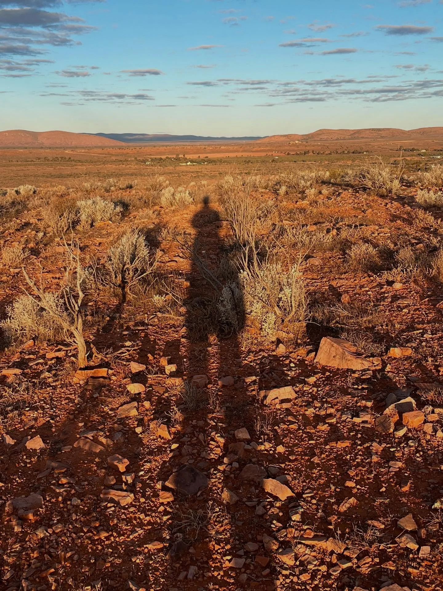 I&rsquo;m having an extraordinary week in Hawker SA working with Aunty Regina McKenzie on what will be her epic leather sculpture for Tarnanthi - we&rsquo;re doing a lot of stitchin and bitchin, laughing, singing and swearing at the sculpture, too ma
