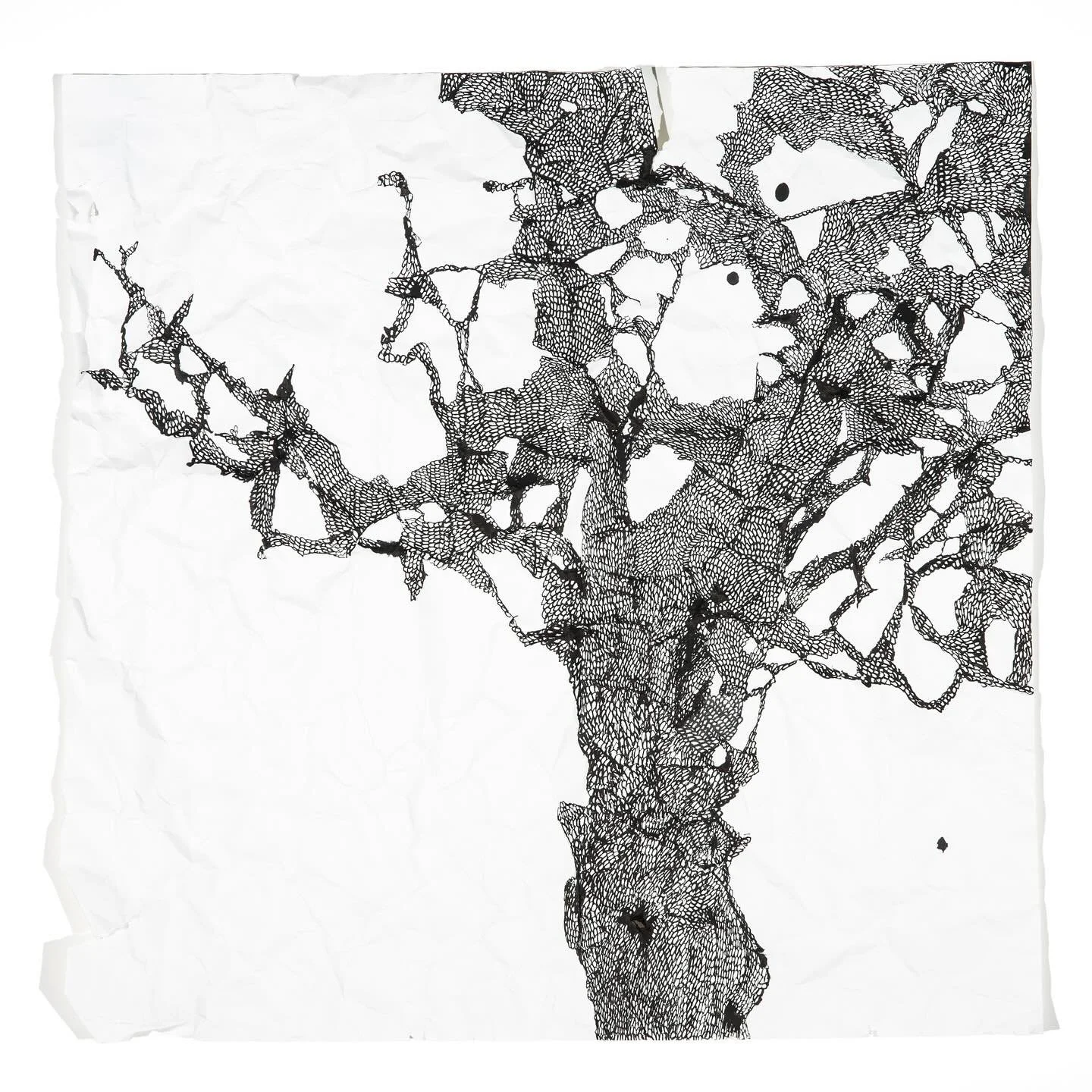 Two more weekends to see
SHADOWS GROWN
@stockroomkyneton 
until Sunday 10th August

Getting up close into this voluptuous vegetal drawing! 

Talitha Kennedy
Shadows Drawn - Sprung
2025
Ink on paper
50 x 50 cm

Shadows Drawn series continues my drawin