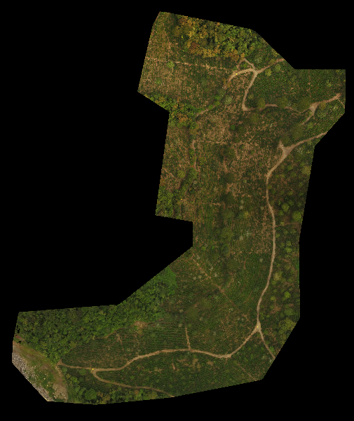 Area (B)