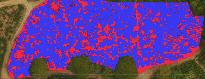 Polygon+Feature+1+VEG-NOVEG.png