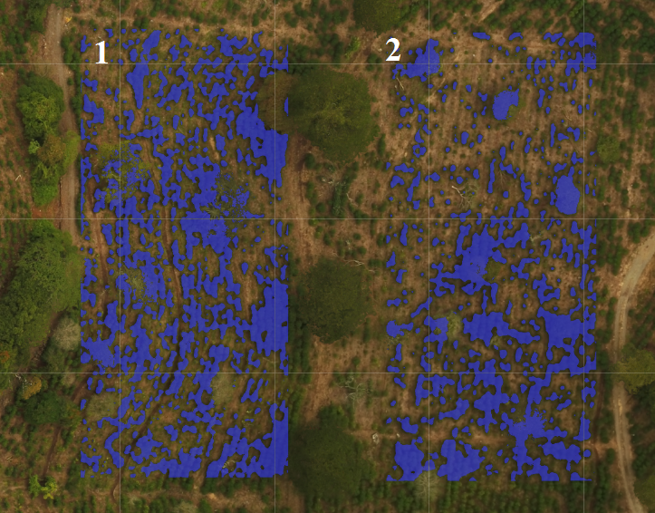 Rectangle+Polygon+VEG.png