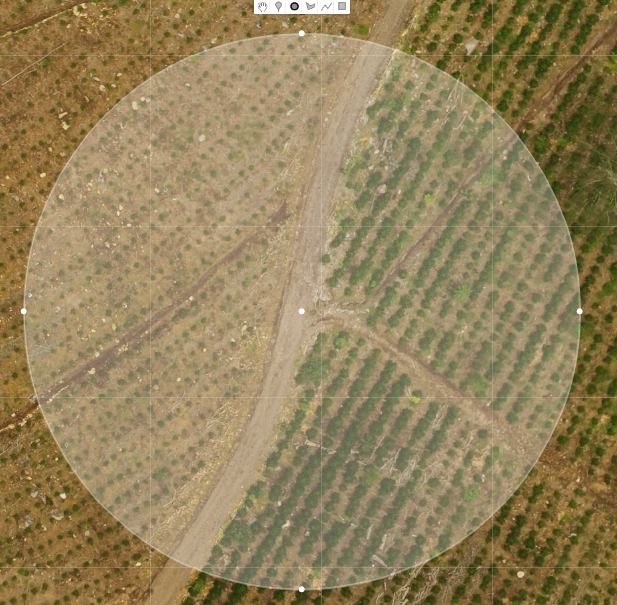 Circle+Feature+1+Area+1.png