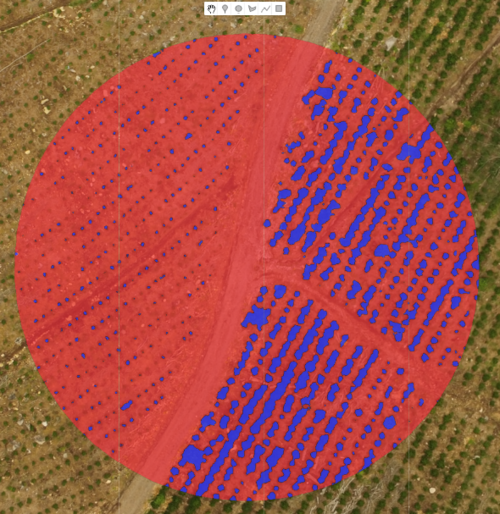 Circle+Feature+1+Area+1+VEGNOVEG.png