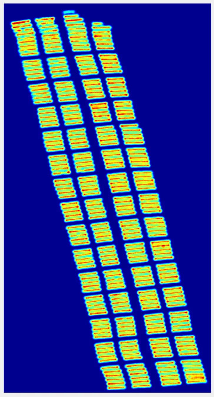 Merged2.jpg