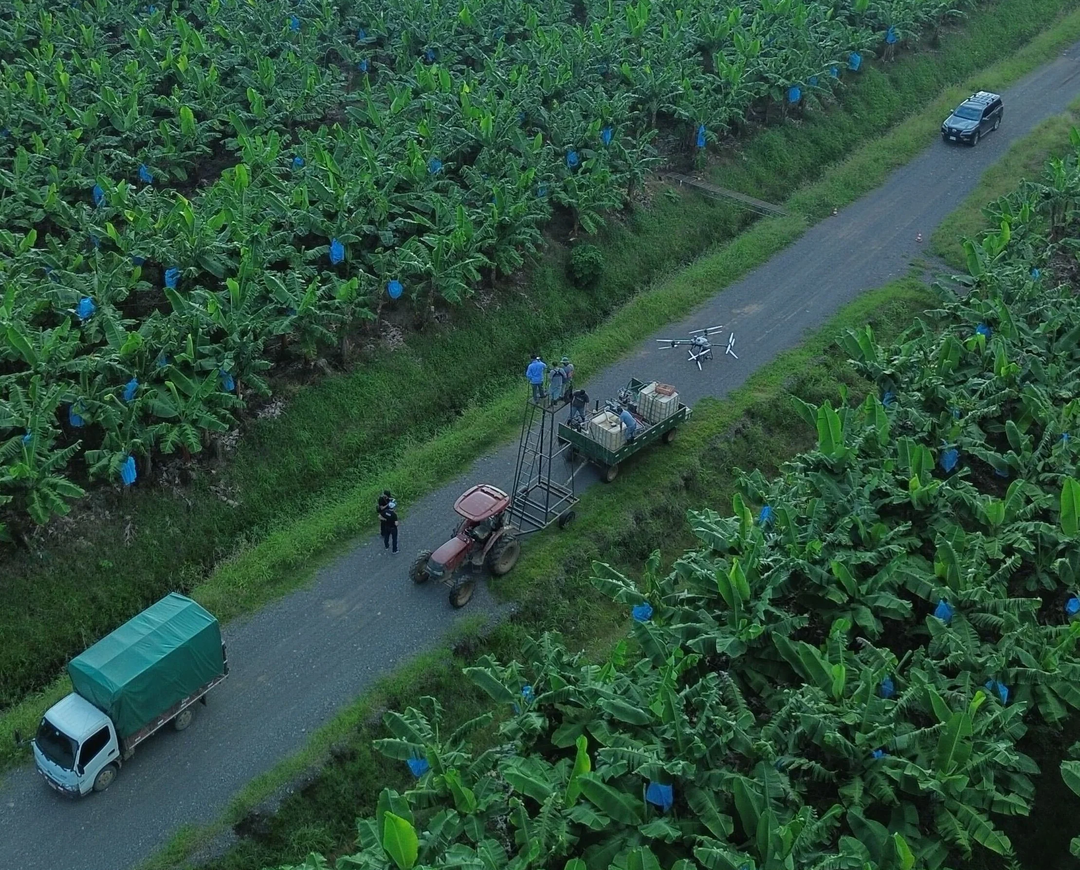 Transformación agrícola en el Pacífico: Indigo lidera capacitación en fincas de plátano”