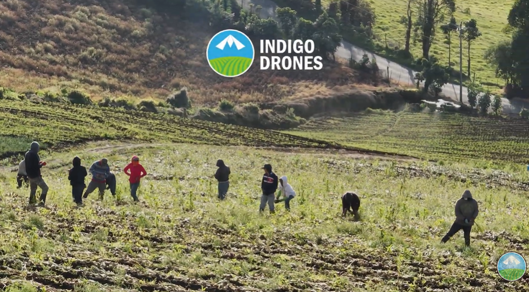 Hacia una Agricultura del Futuro: Indigo Drones Cierra el 2025 con Hitos Históricos en Sostenibilidad y Tecnología