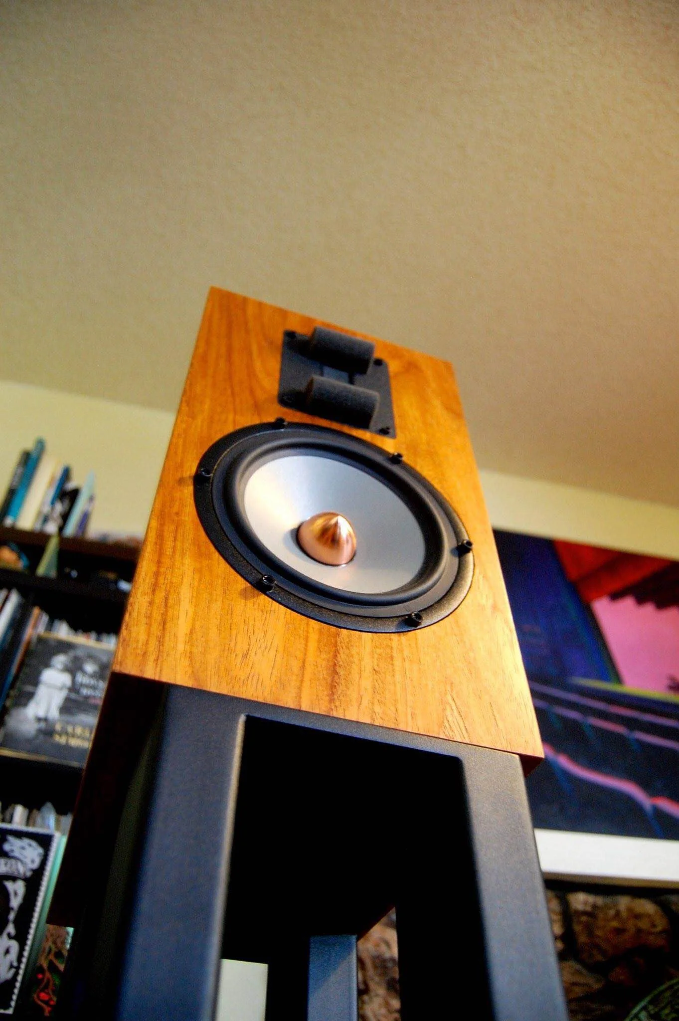 Colleen_Cardas_Imports_Brigadiers_Audio_BA2_loudspeaker_DSC_1208-683x1024.jpg