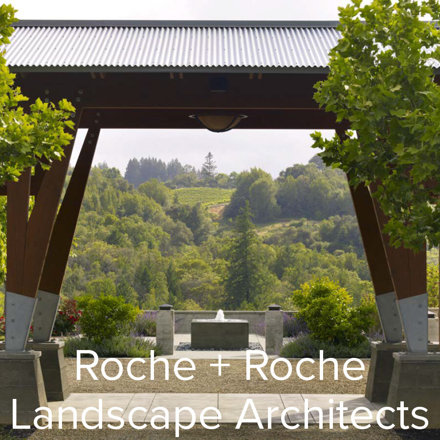 Roche + Roche Gallery Block 2.jpg