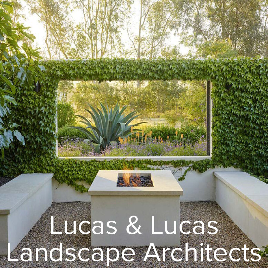 Lucas Lucas Gallery Block 2.jpg